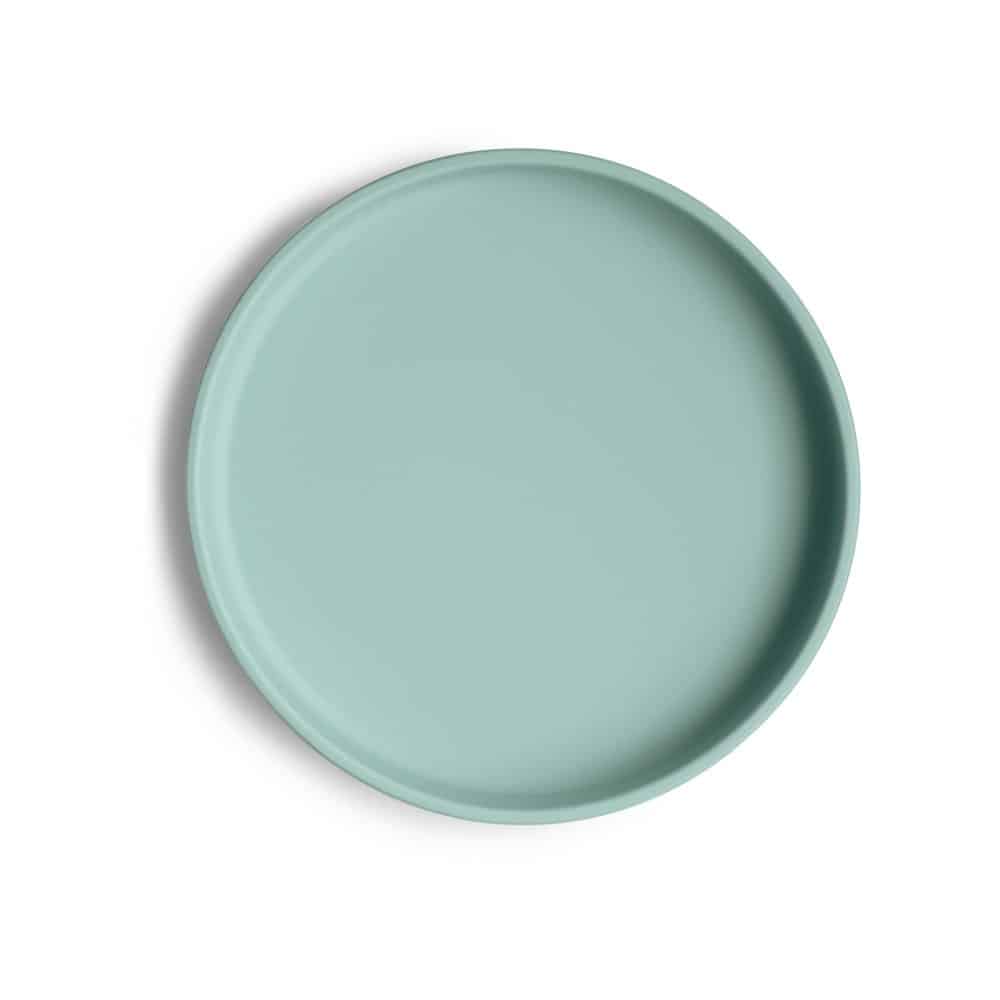 Cambridge-Blue_Silicone-Plate_Top-p