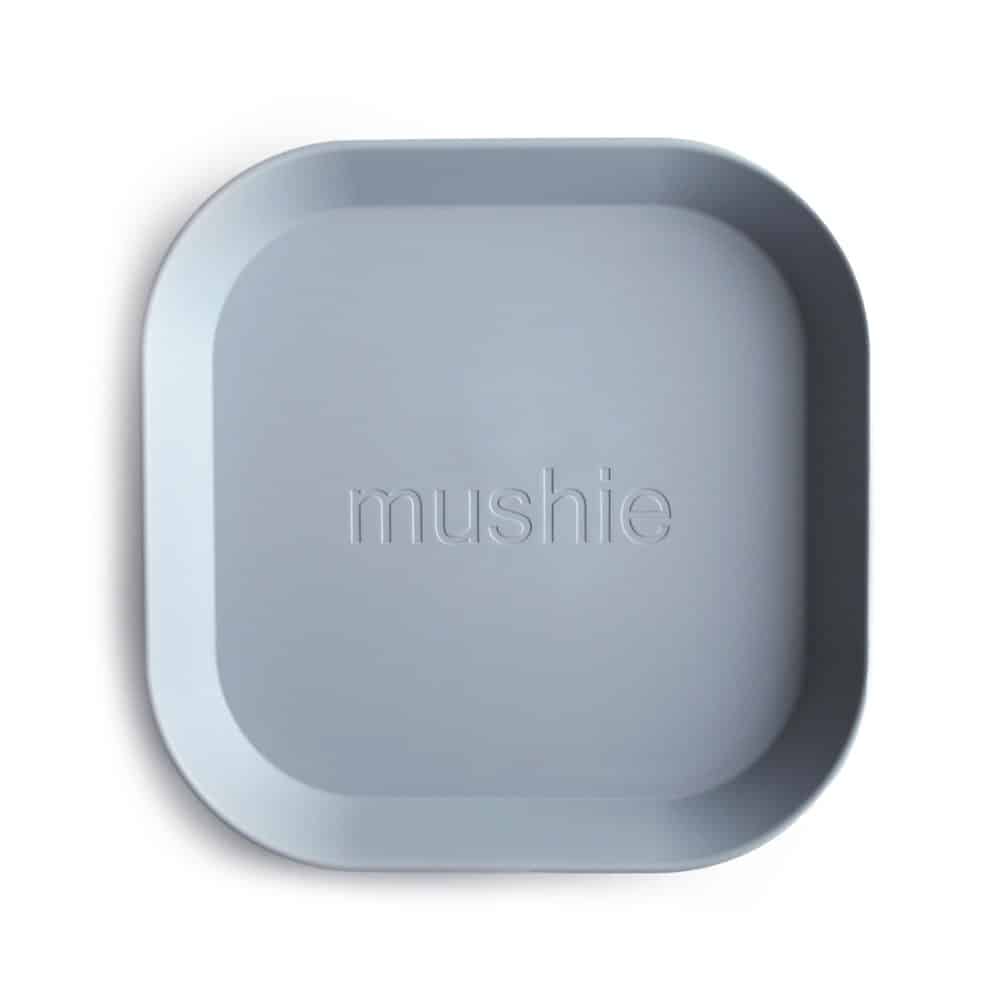Plate_CLOUD_new-p