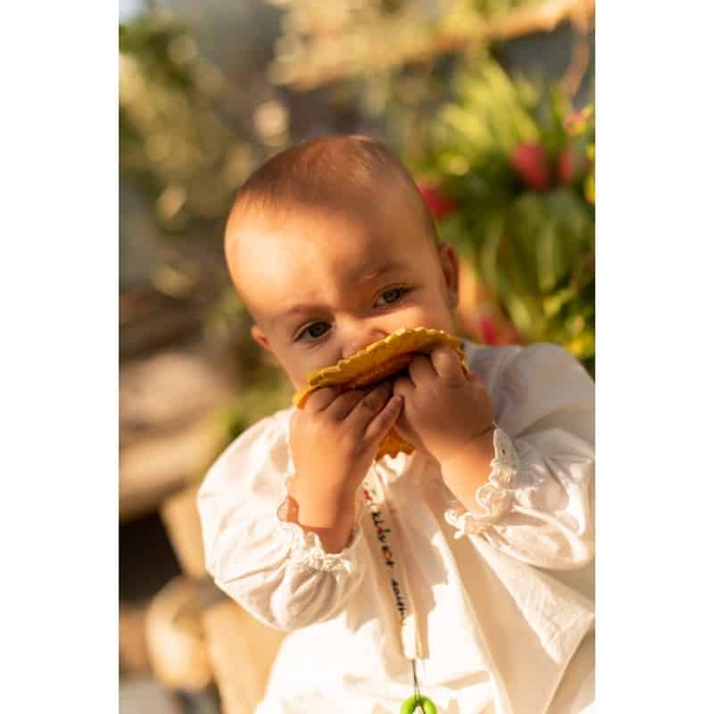 hryzatko-slnecnica-sun11-the-sunflower
