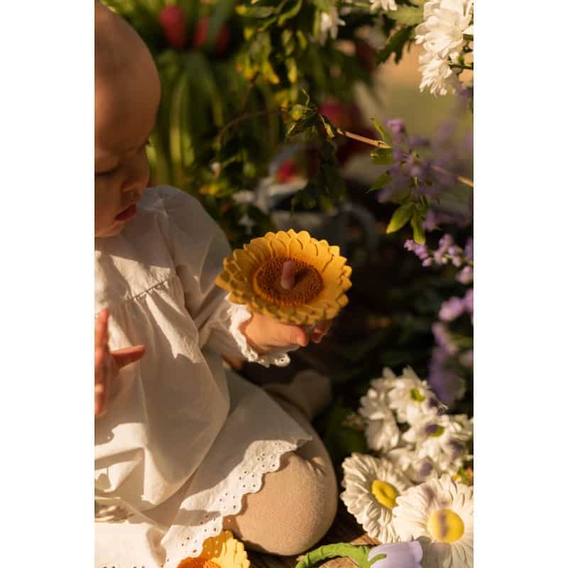 hryzatko-slnecnica-sun12-the-sunflower