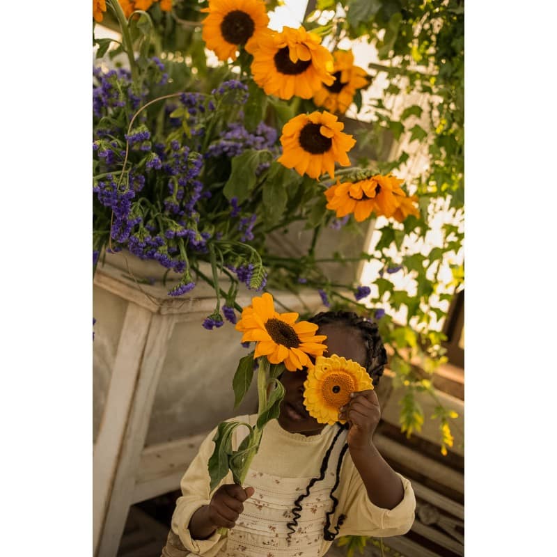 hryzatko-slnecnica-sun5-the-sunflower