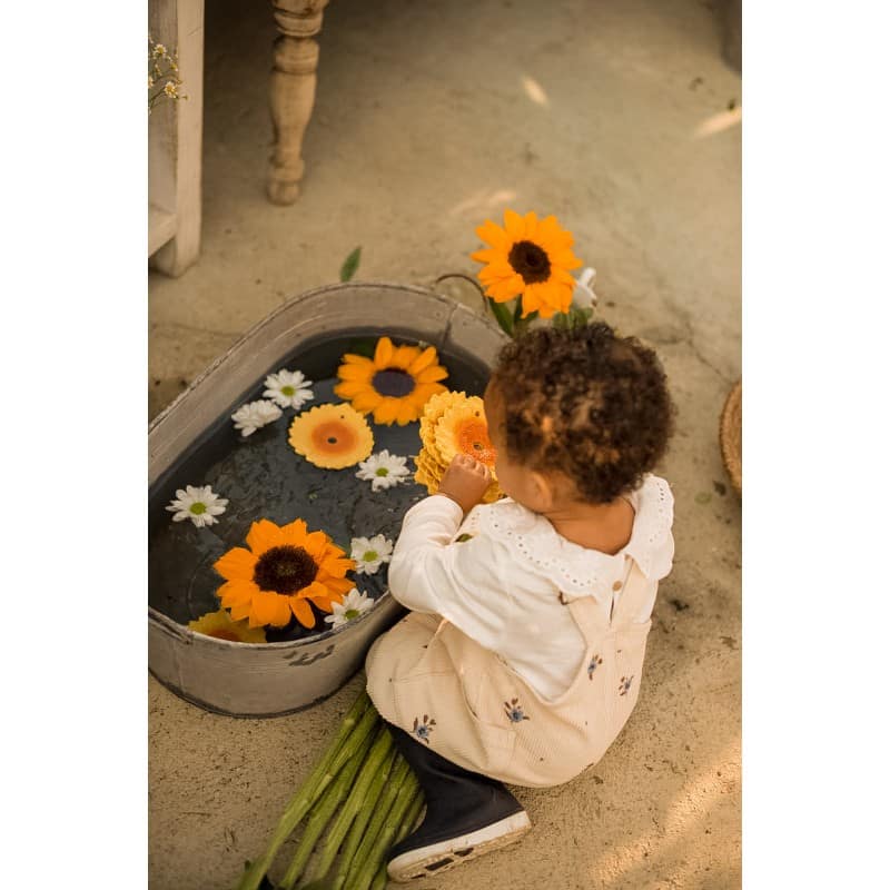 hryzatko-slnecnica-sun7-the-sunflower